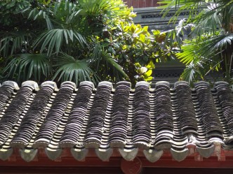 toits de pagodeC01321