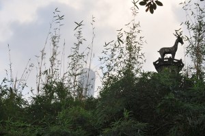 le cerf et le gratte-ciel