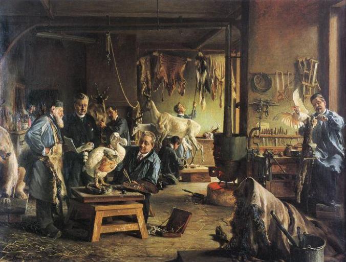 Henri_Coeylas_dodo_Reconstitution du Dodo