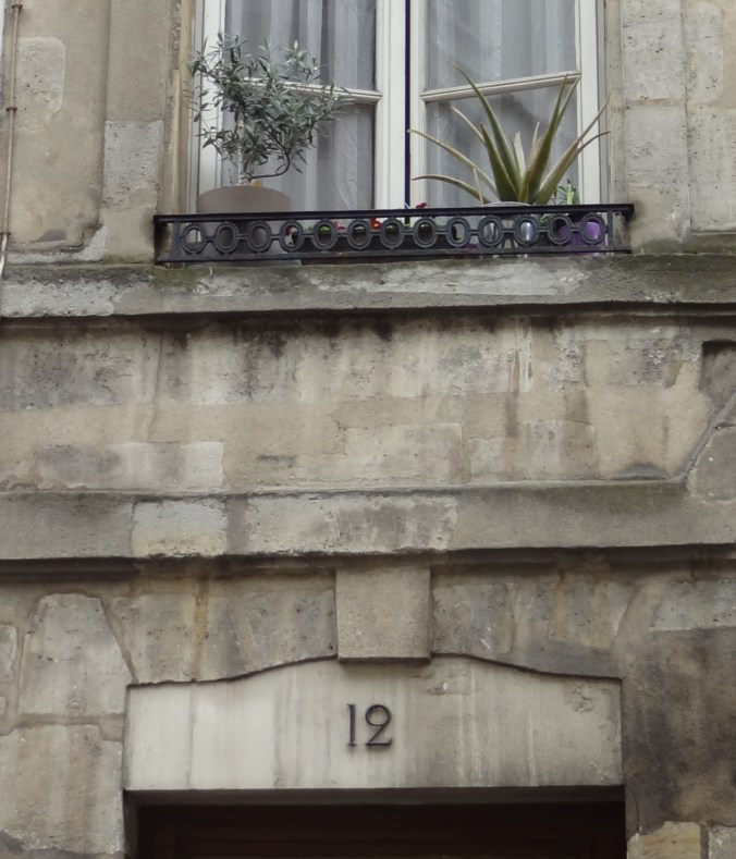 L'olivier et le cactus. Rue des Bernardins 5e