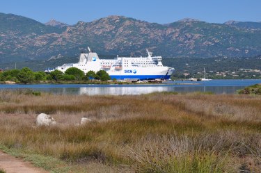 le ferry SNCM_0009