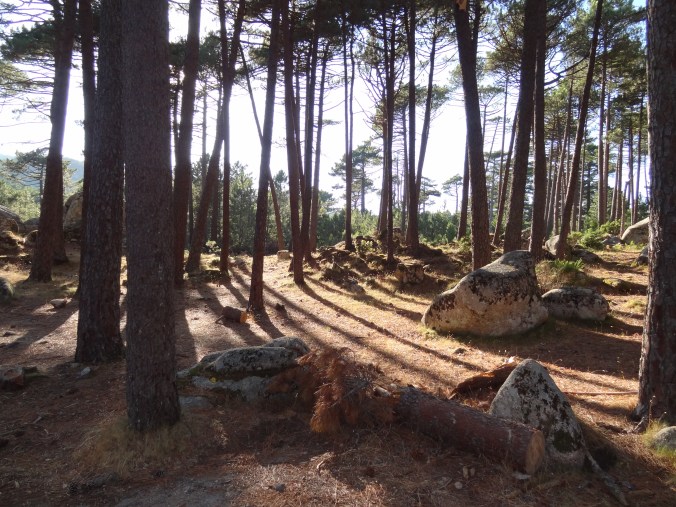 Ospédale la forêtC01627