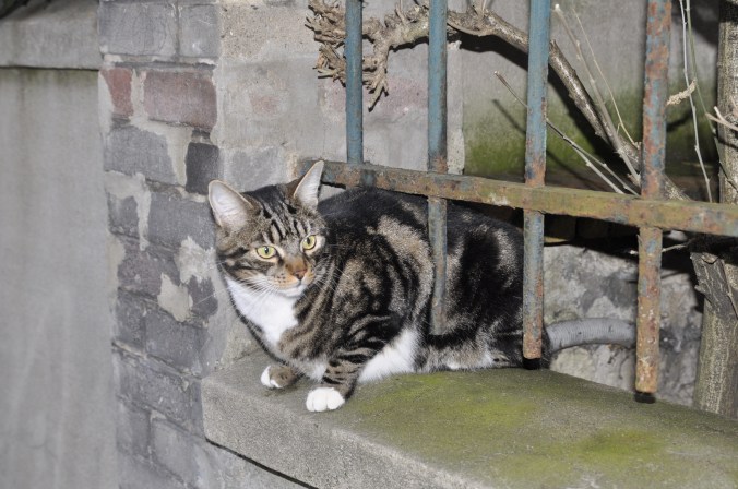 villa-daviel-un-habitant