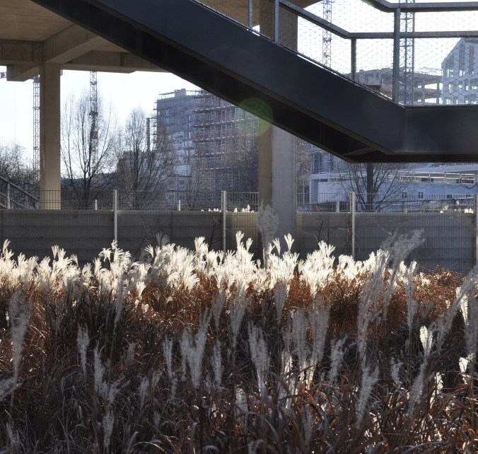 parc Martin Luther-King