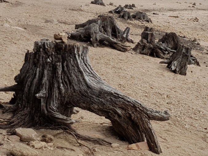 lac de l'Ospédale sécheresse