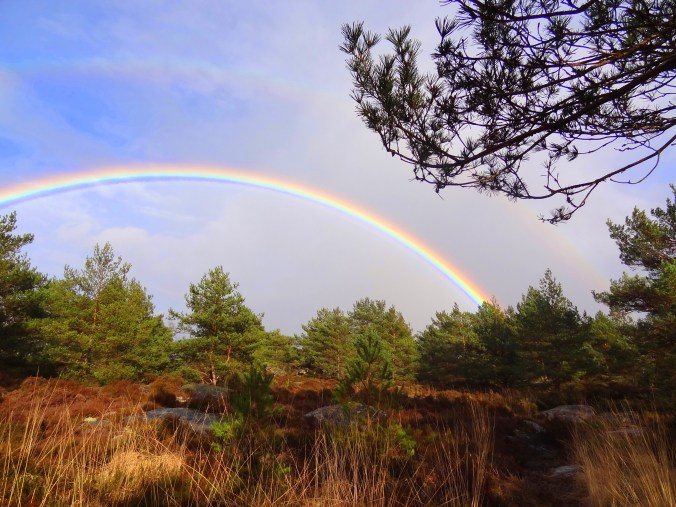 arc en cielDSC02235