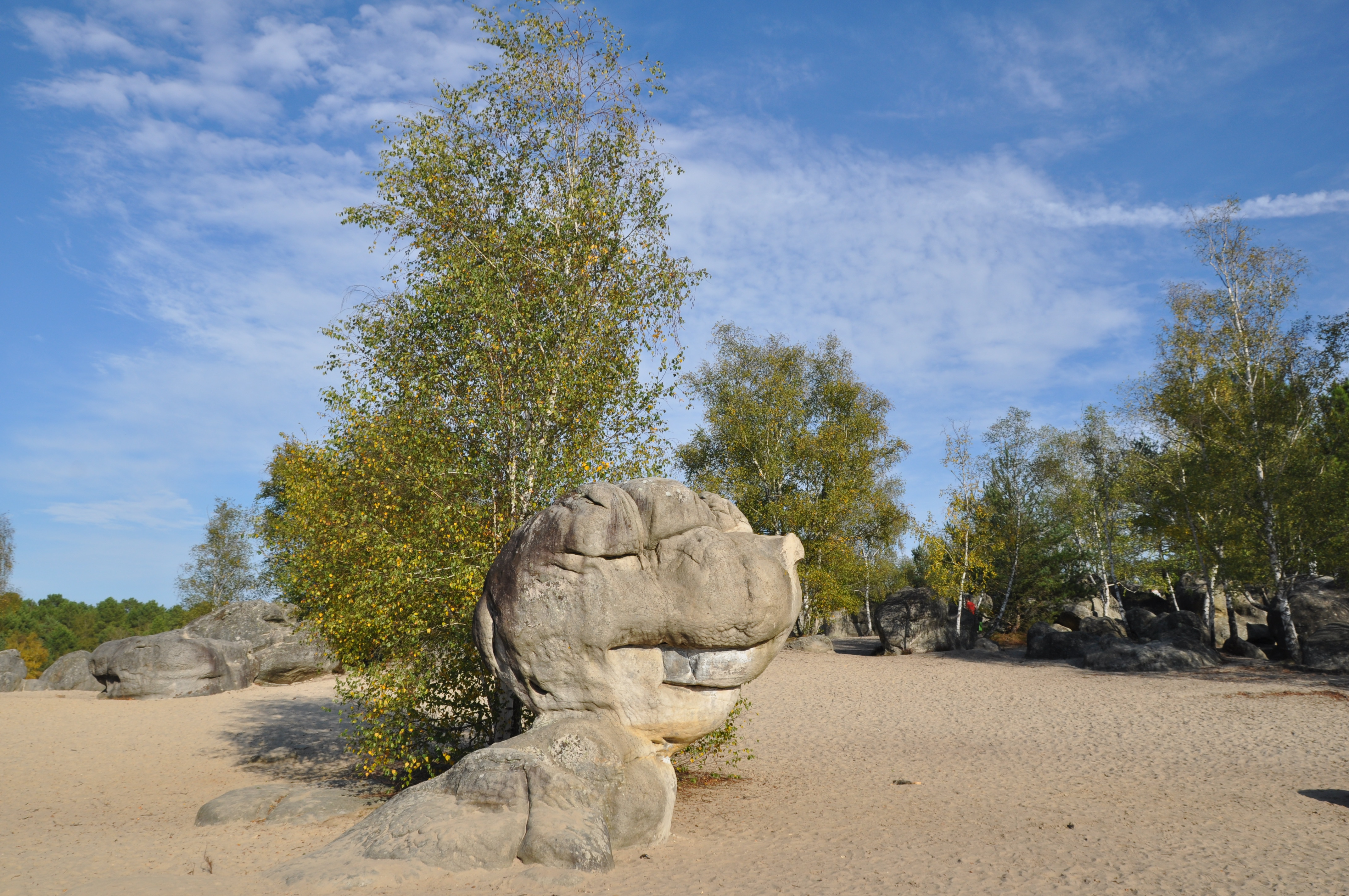 Sables du cul du chien. oct 2016
