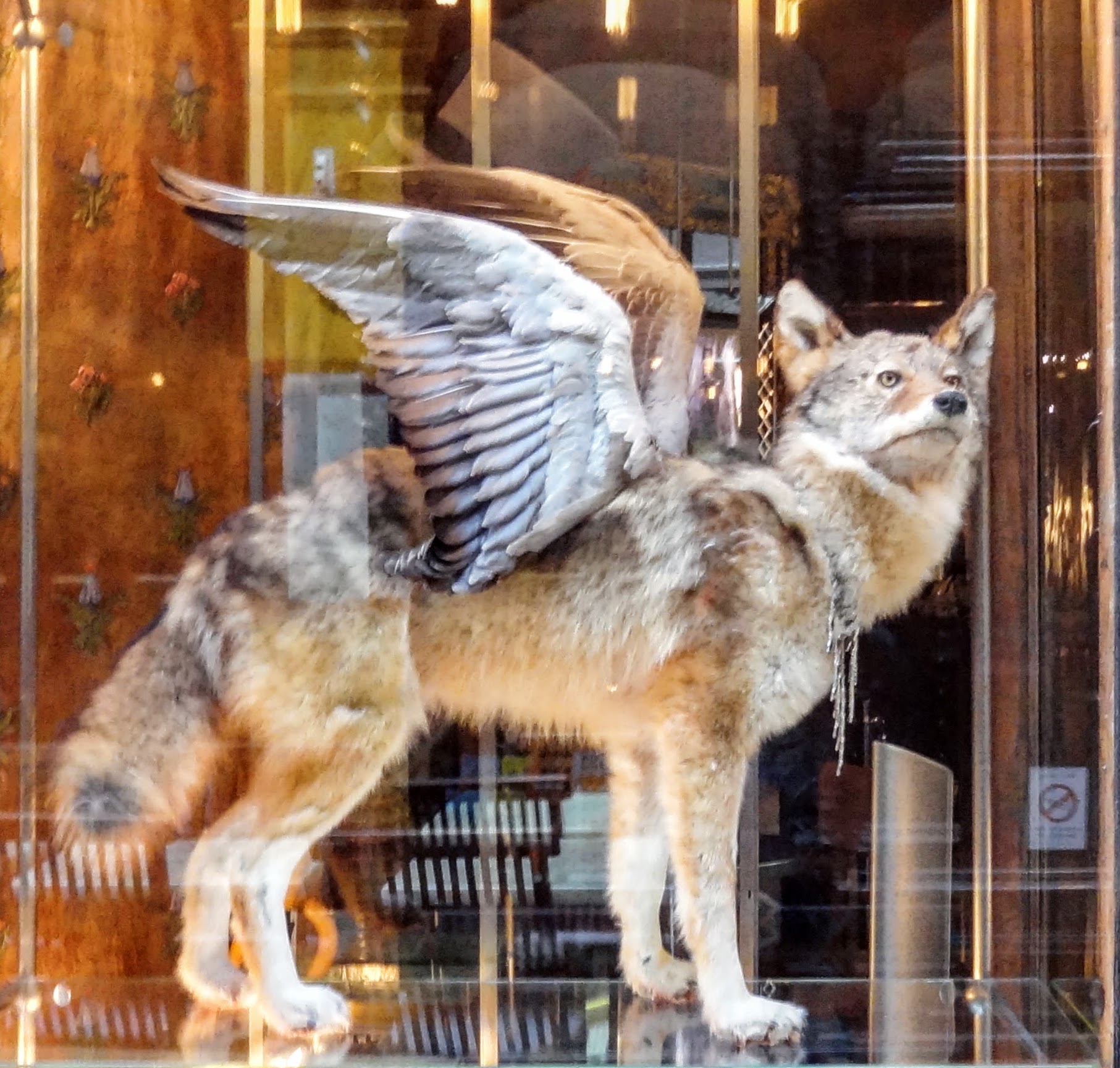 Passage des panoramas. Le Loup (2)