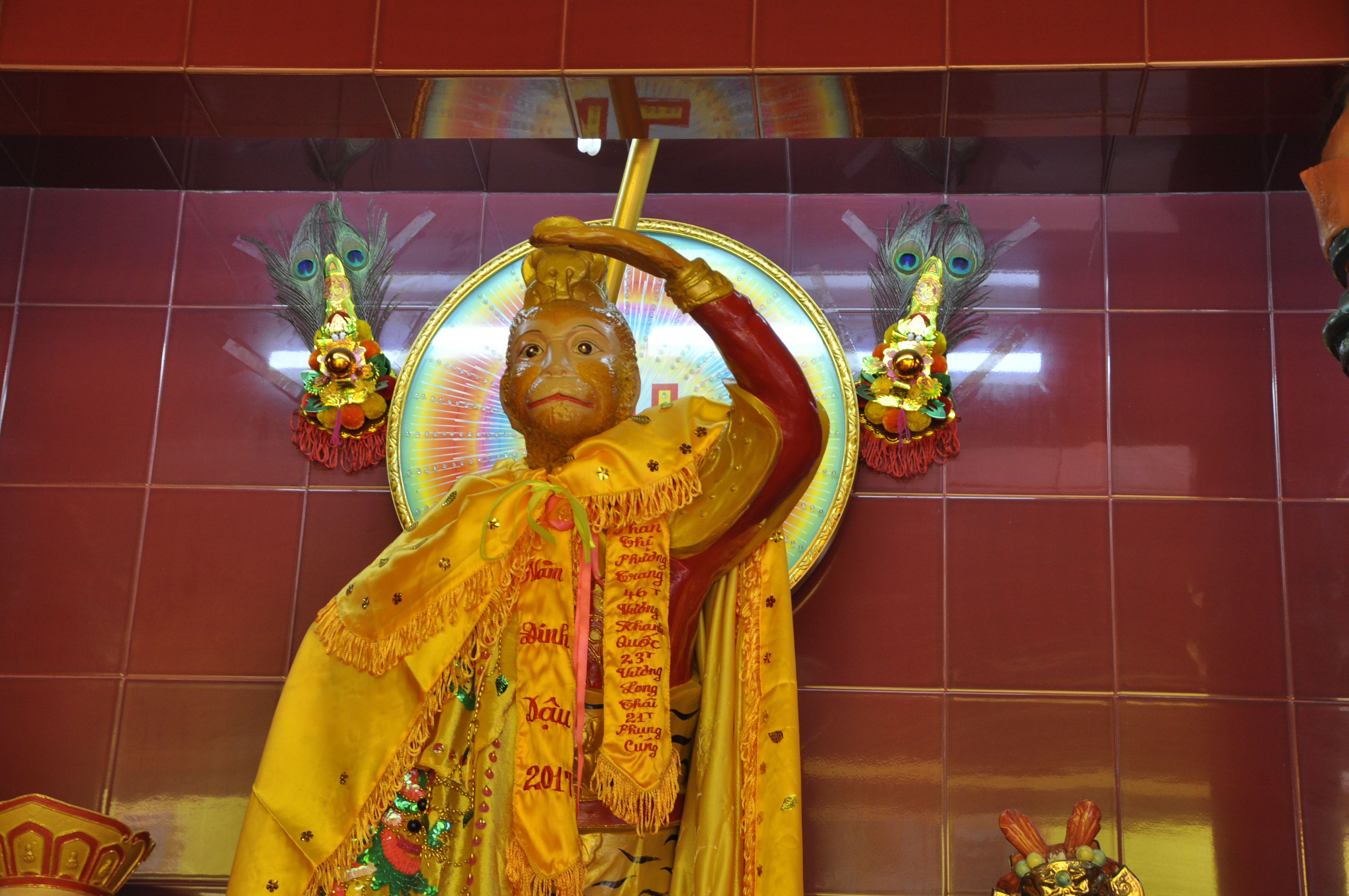 39_tam son hoi quanDSC0057