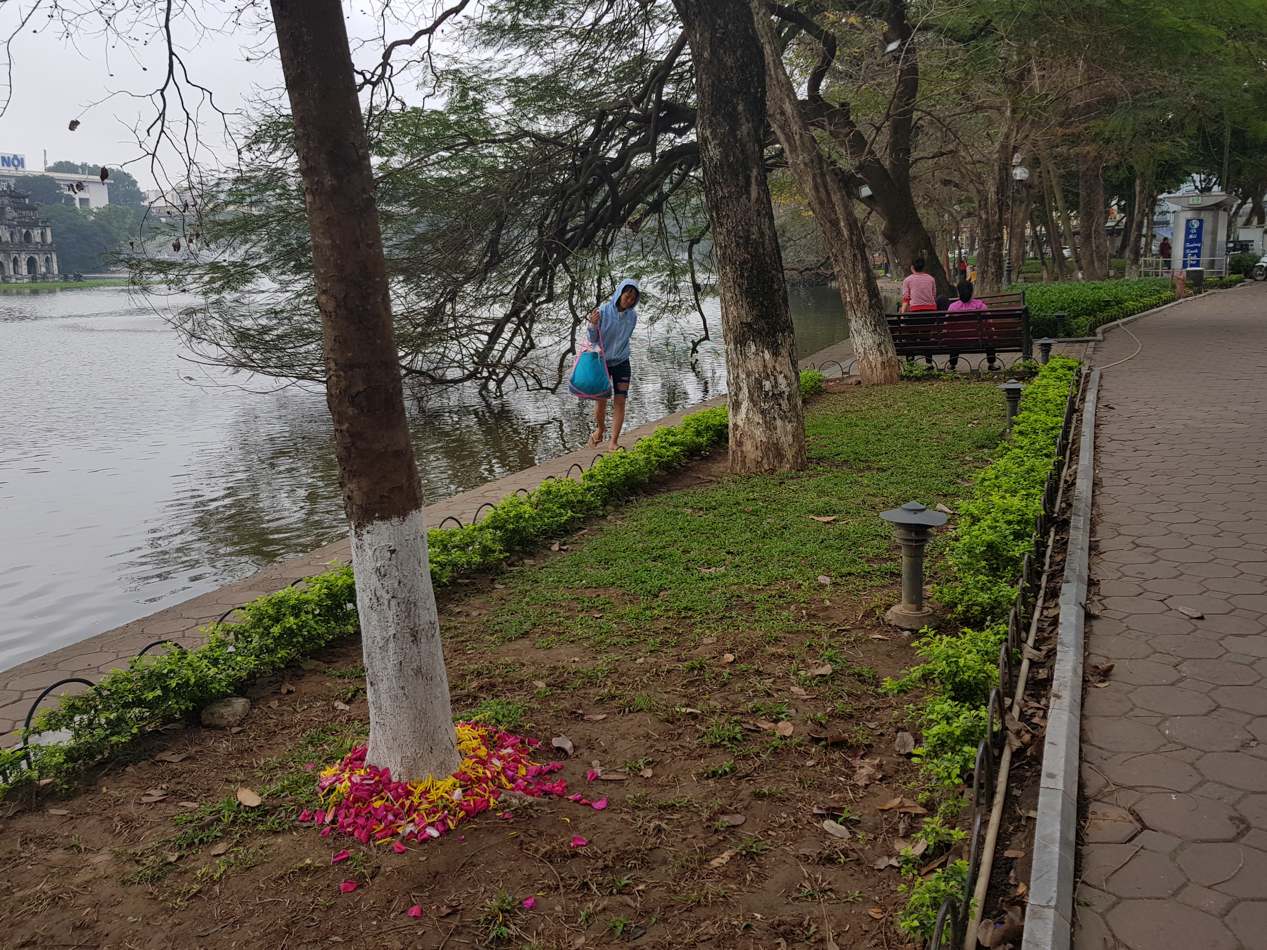 Hanoi. Lac Hoi Kian20180306_084652