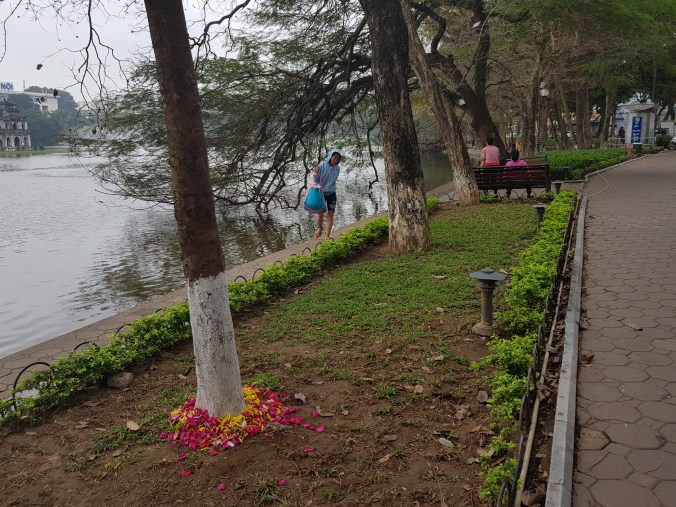 Hanoi. Lac Hoi Kian20180306_084652