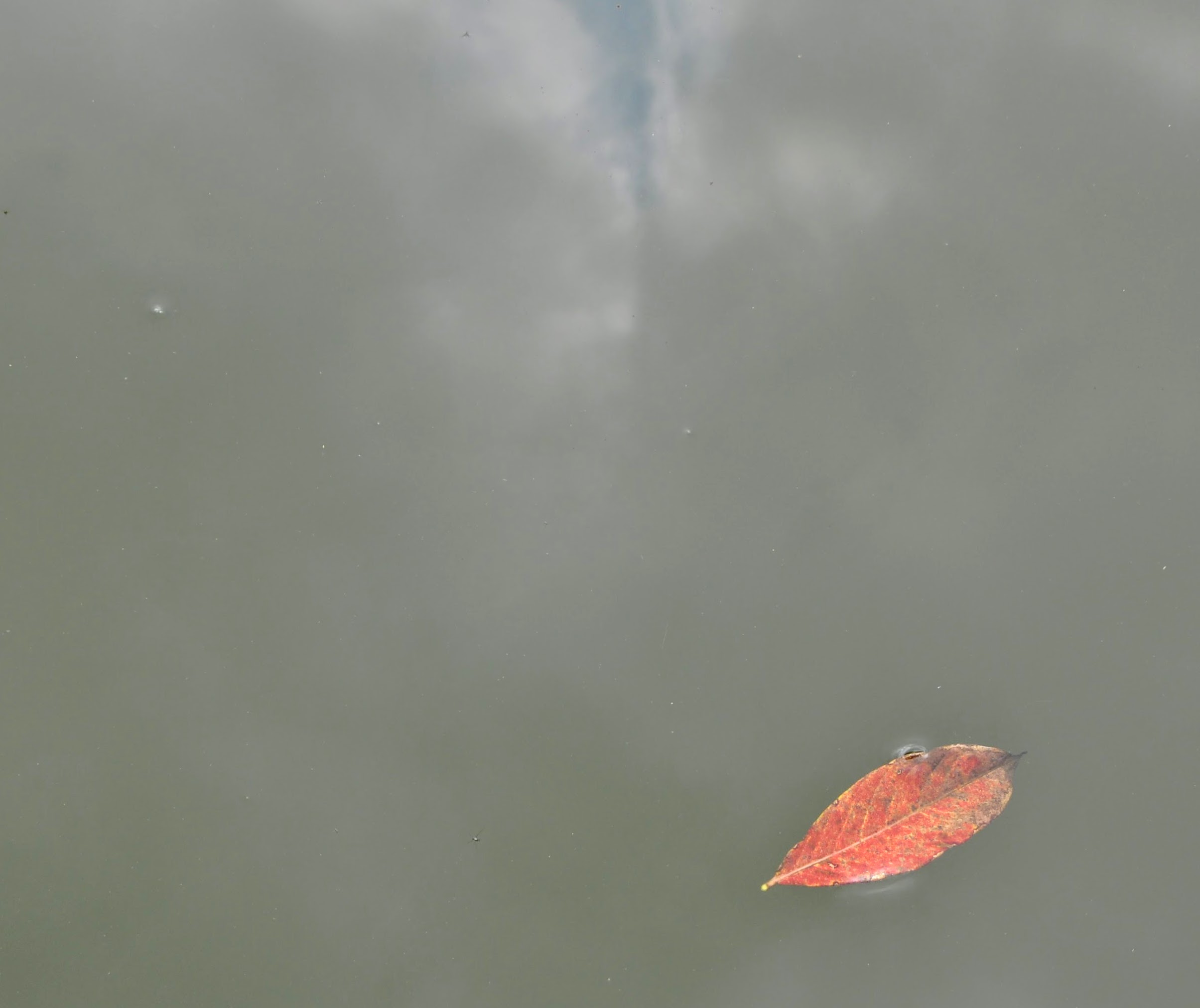 Hué Cité impériale_DSC0145