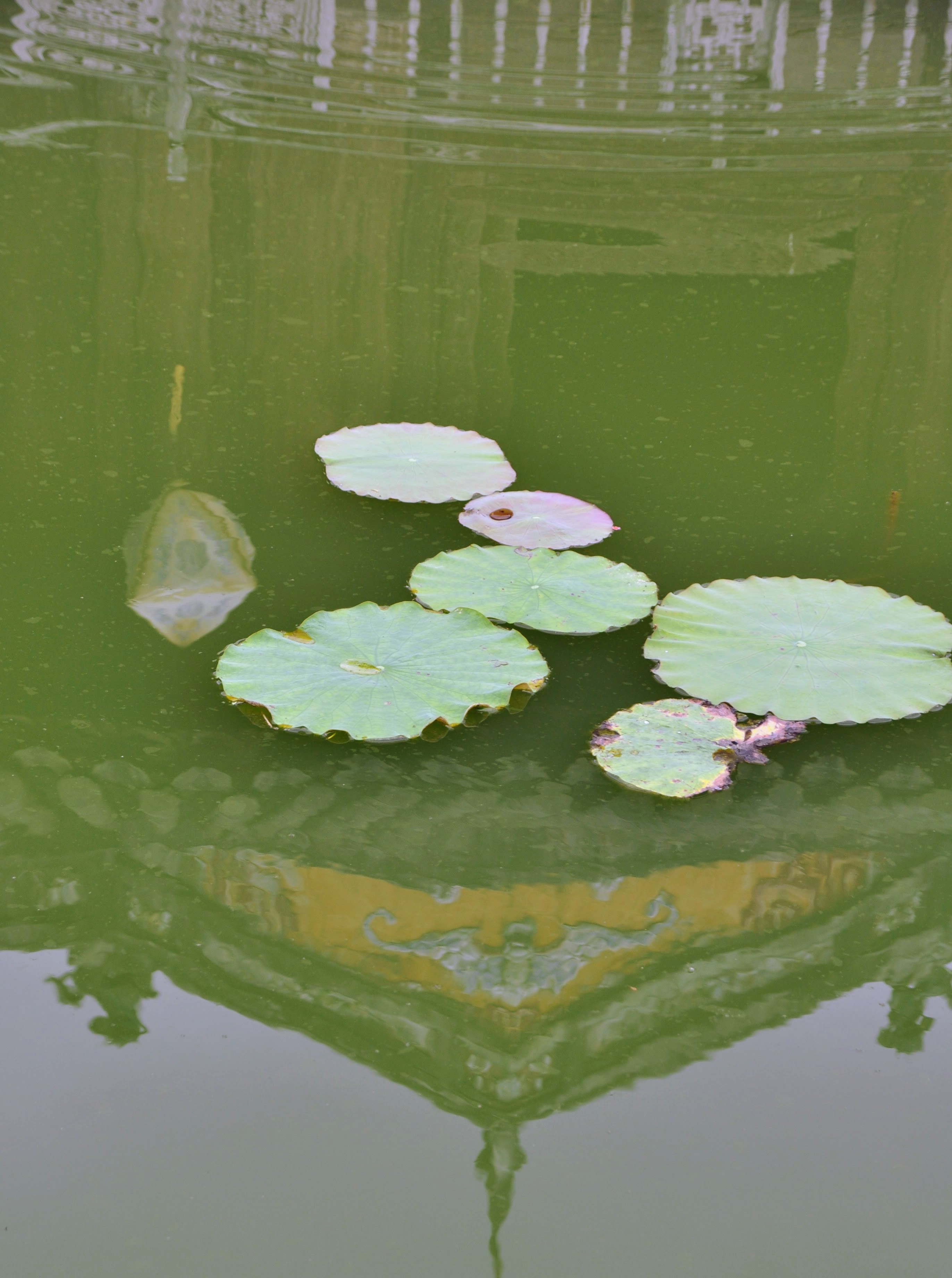 Hué Cité impériale_DSC0155