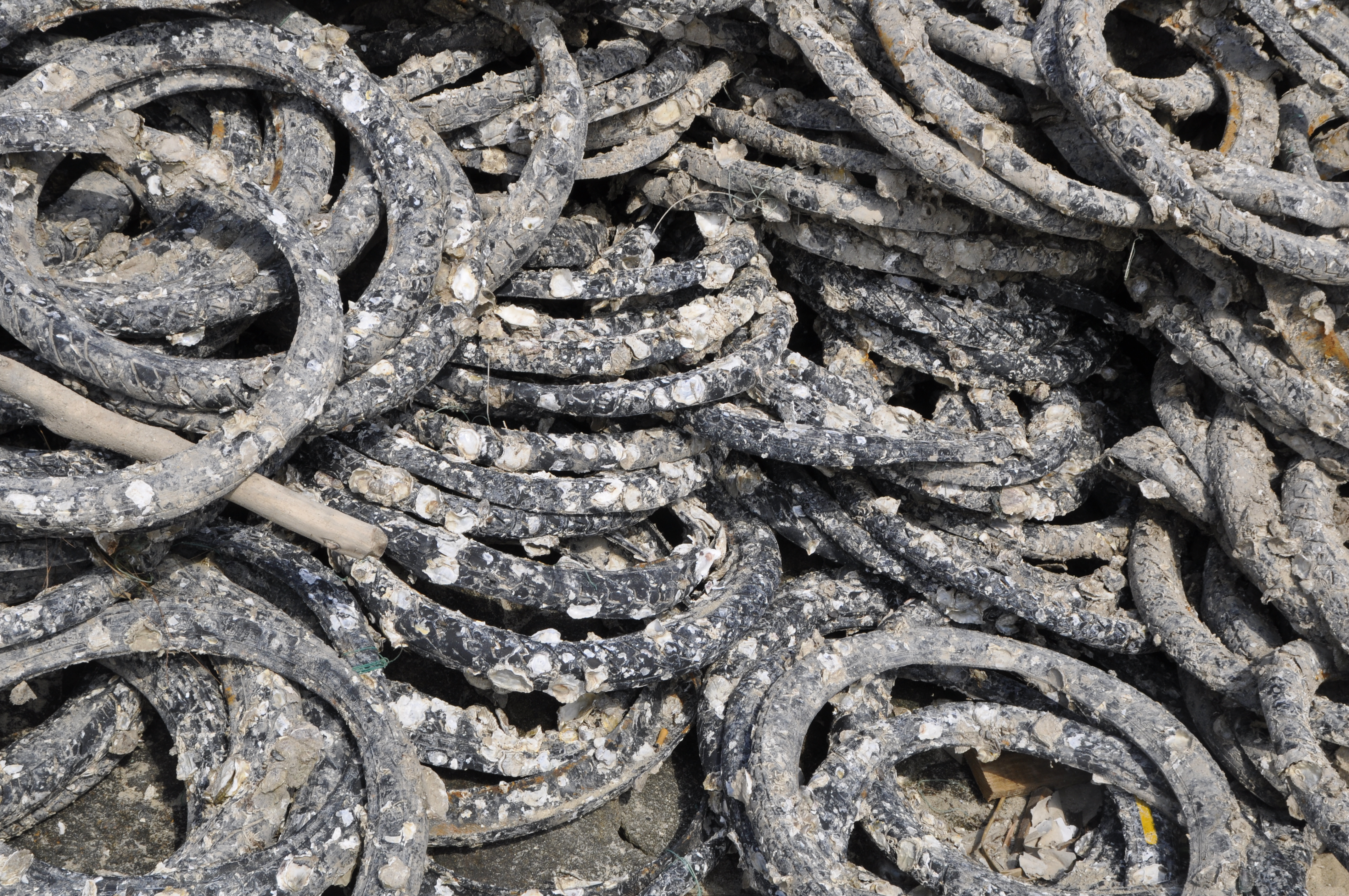 Lang Co 8_DSC0092.JPG