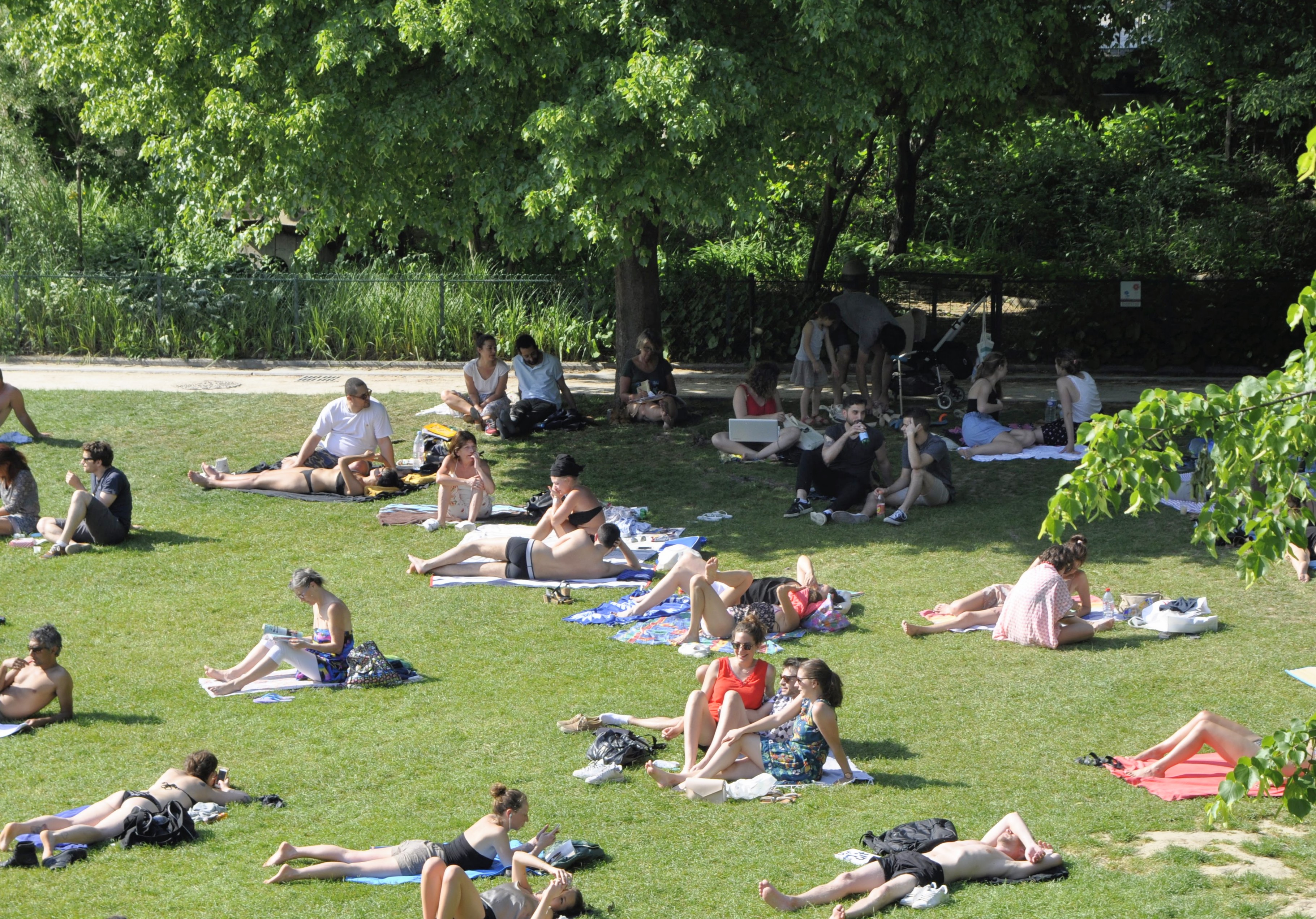 coulée verte pelouse à Reuilly_DSC0118
