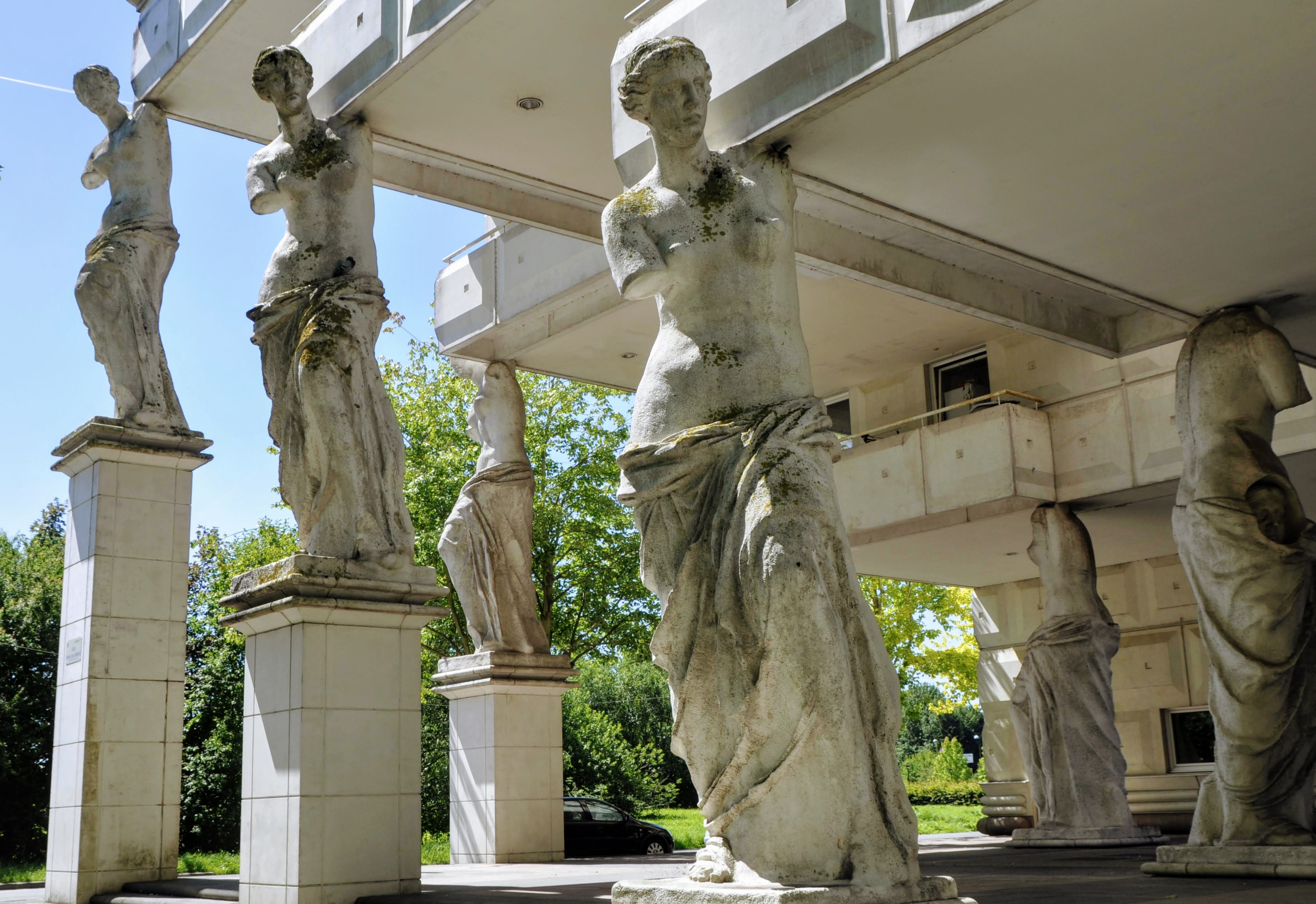 Guyancourt 6 Aphrodytes