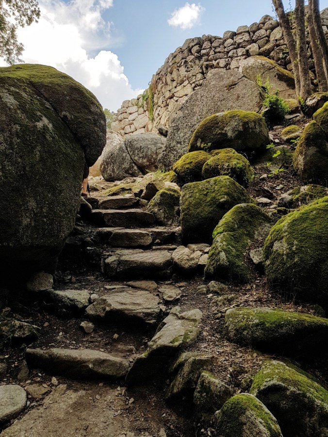 cucuruzzu20180821_142921 (1)