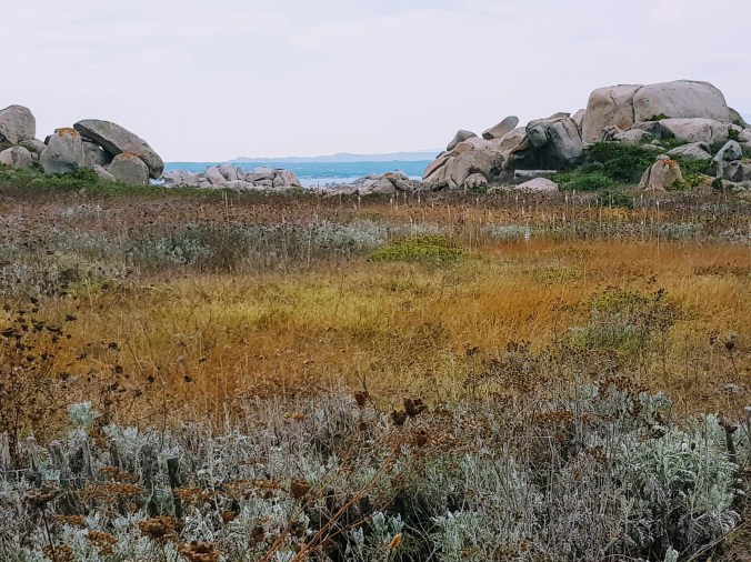 Lavezzi 20180822_154317