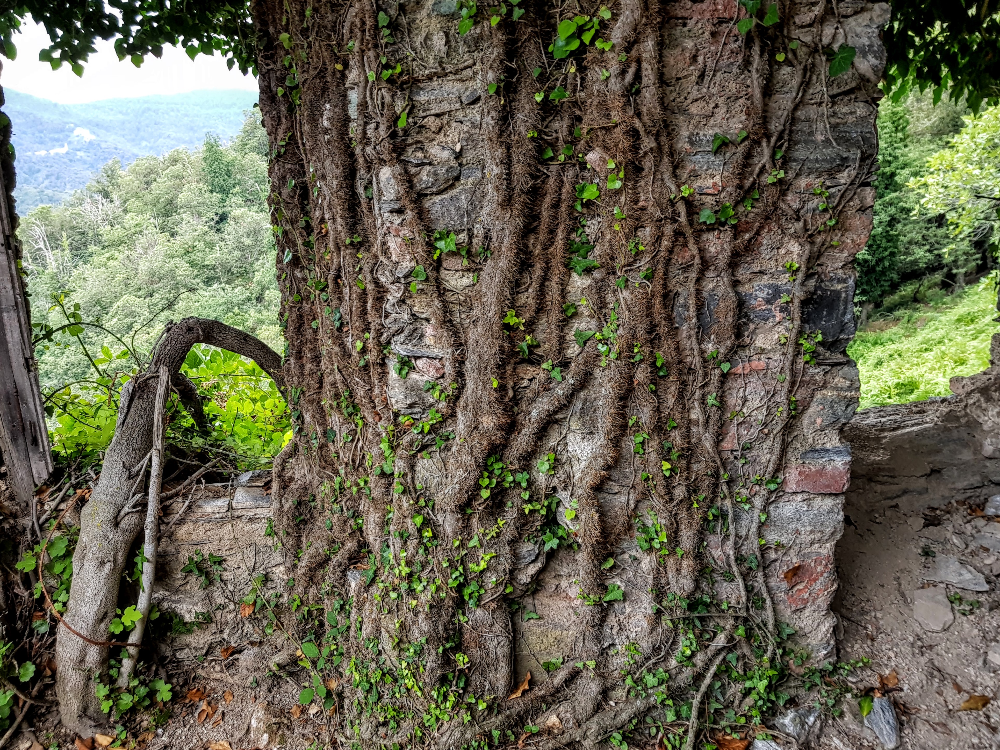 Orezza 20180817_165339