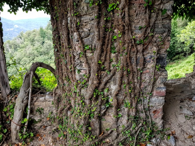 Orezza 20180817_165339