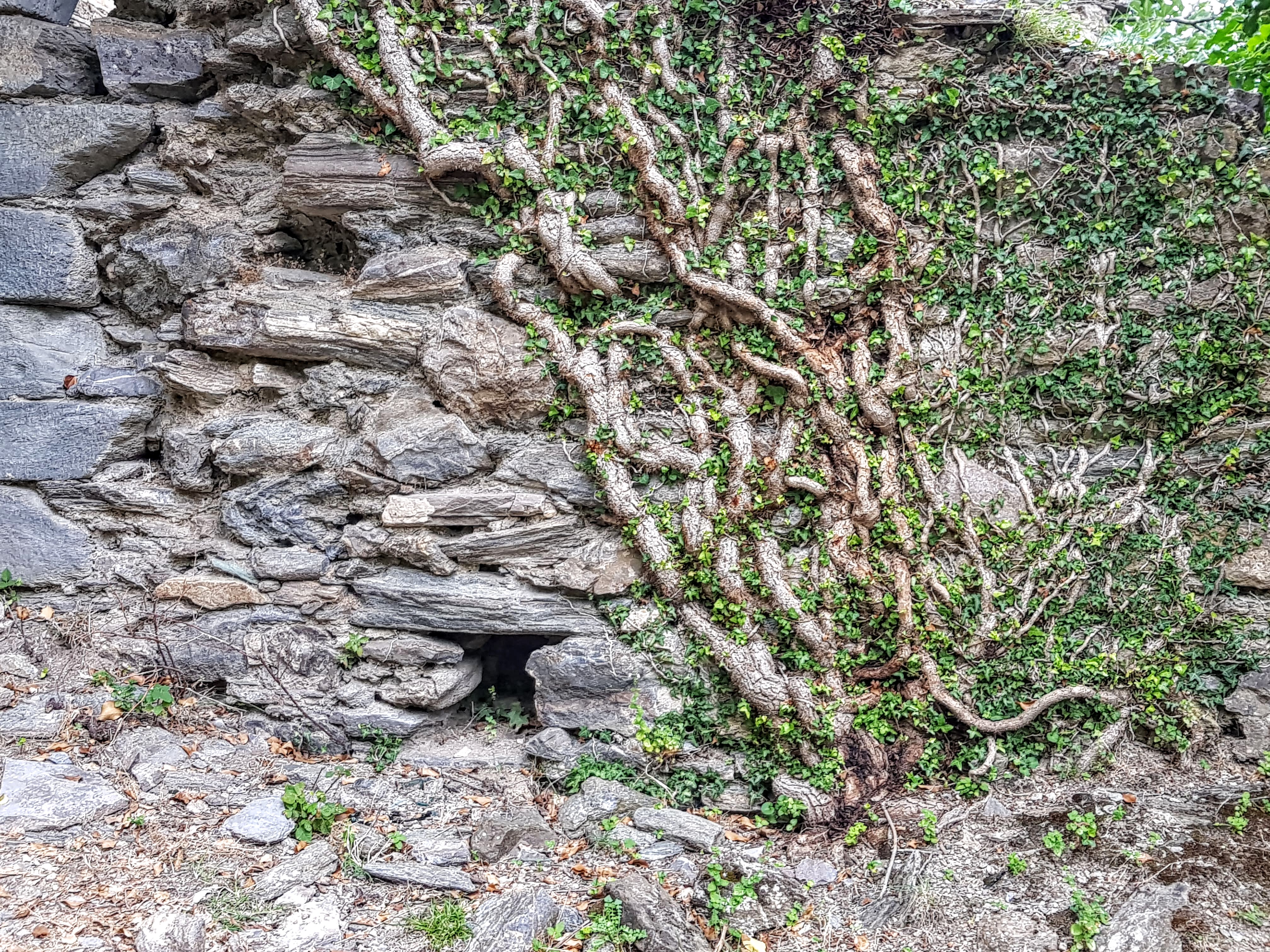 Orezza 20180817_165828