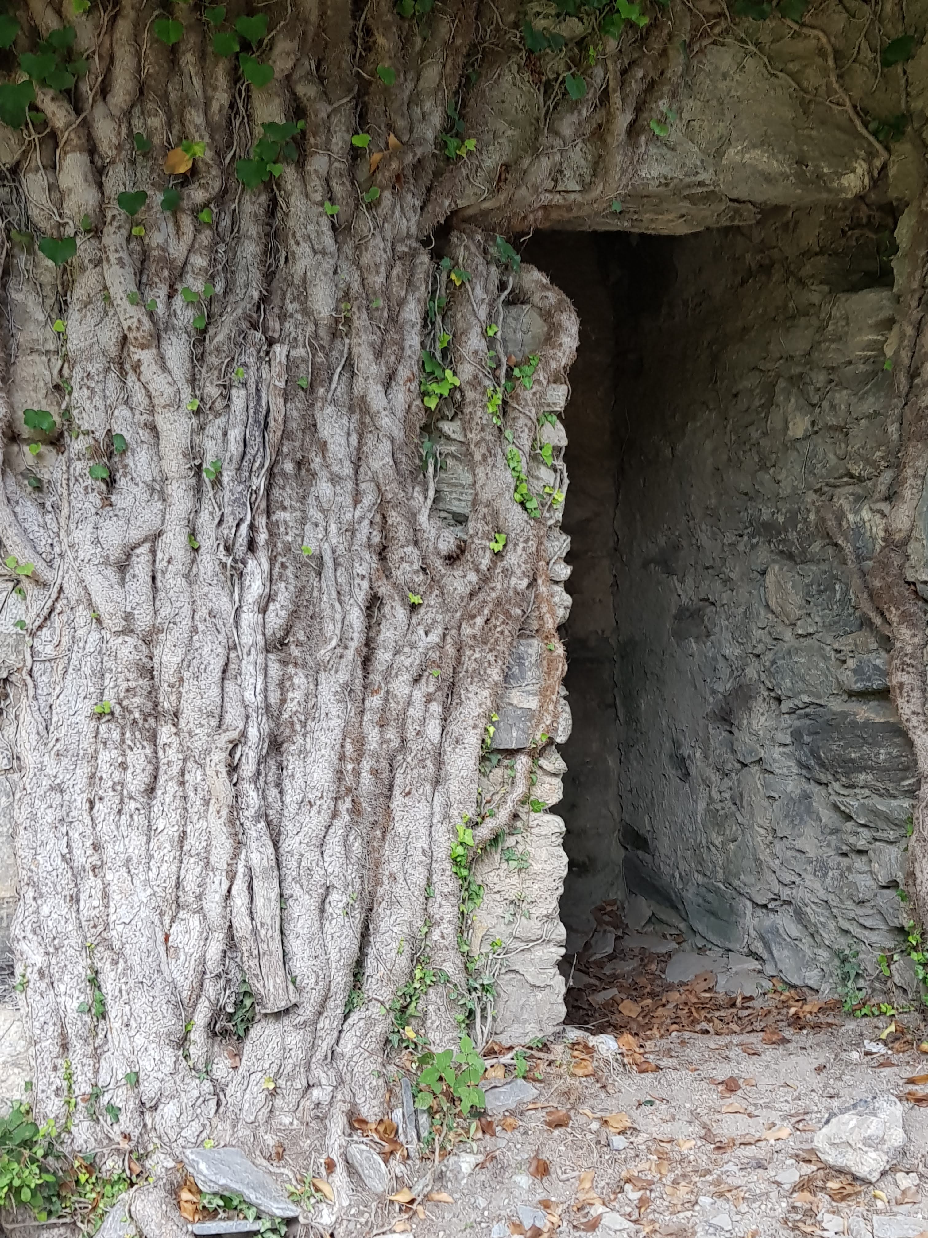 Orezza 20180817_165841