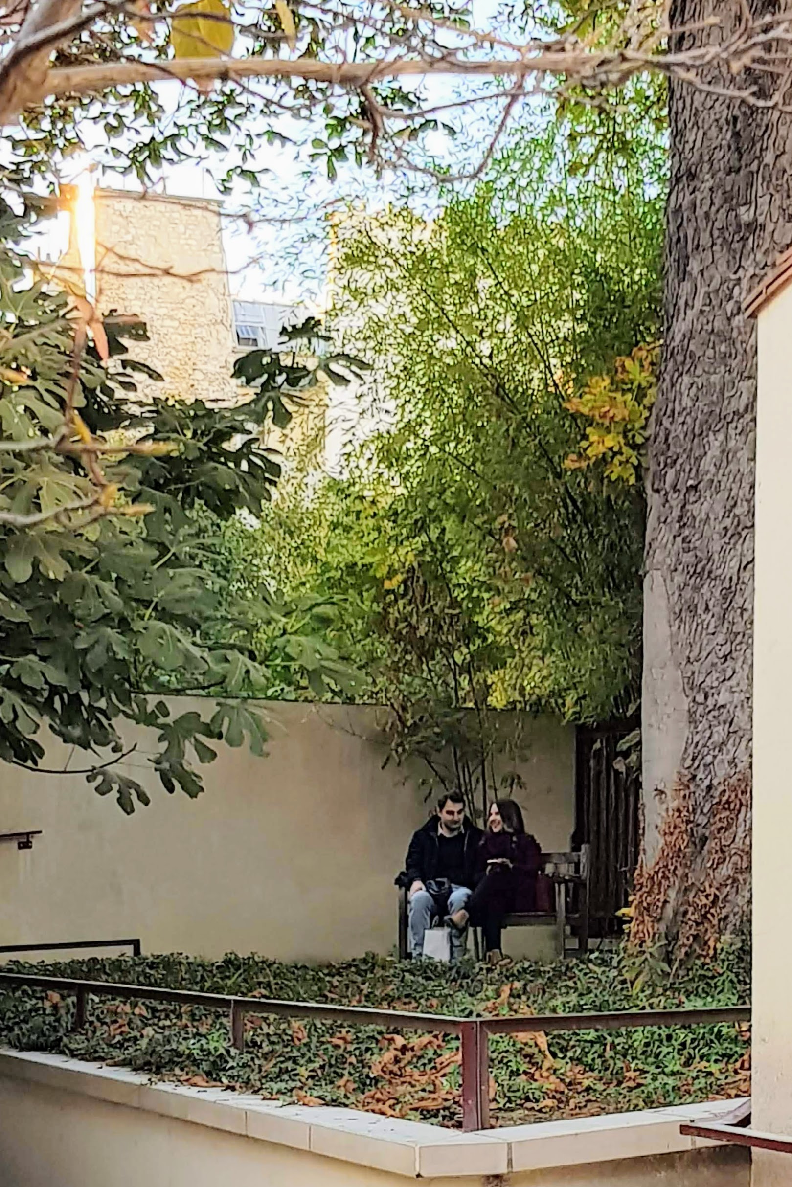 JARDIN 10 RUE DES rOSIERS 20181025_170305