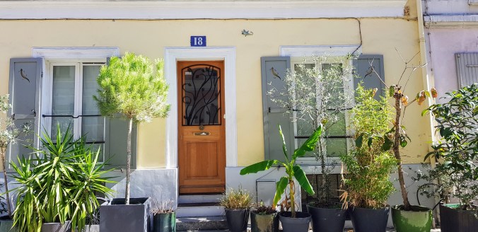Rue Crémieux, pin, olivier, bananier et un lézard sur le mur